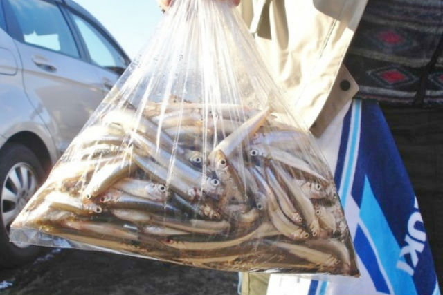 【山梨・山中湖・ワカサギ釣り】団体のお客様大歓迎！10人1組ワカサギ釣りプラン 写真4