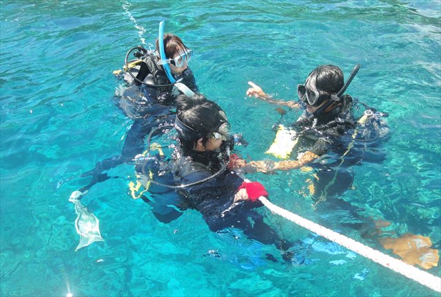 【慶良間諸島・市内送迎あり・3か所周遊★2名様500円引き★水中写真無料】リクエストベースの体験ダイビング＆スノーケリングツアー☆カメ・光の洞窟など※1月～3月はホエールウォッチング付き 写真5