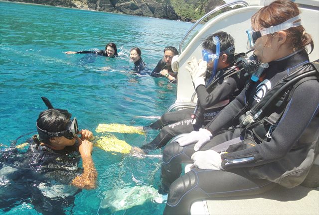 【慶良間諸島・市内送迎あり・3か所周遊★2名様500円引き★水中写真無料】リクエストベースの体験ダイビング＆スノーケリングツアー☆カメ・光の洞窟など※1月～3月はホエールウォッチング付き 写真4