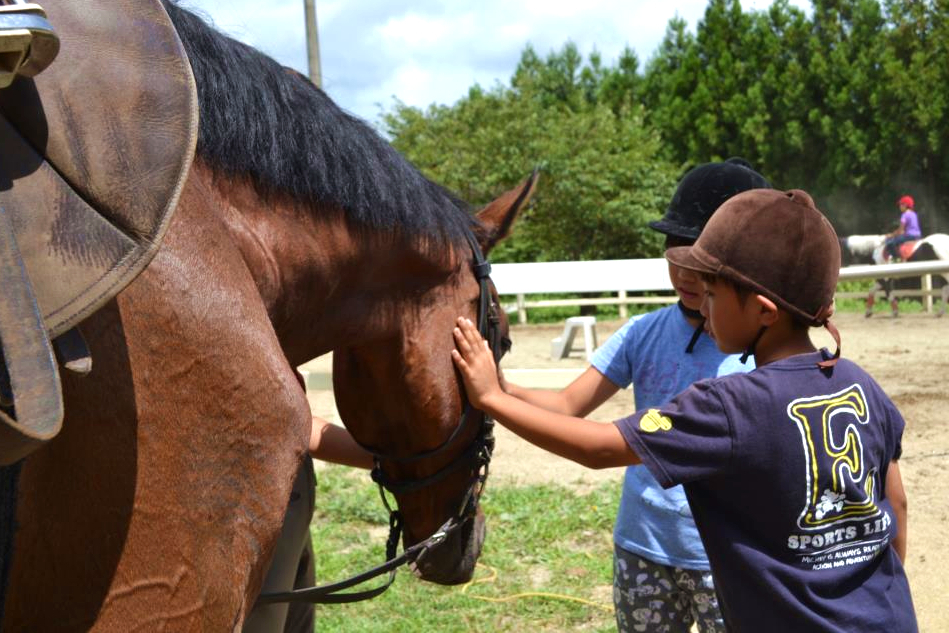 【千葉・乗馬】50鞍以上の経験者専用！丁寧なレッスンで上達 写真4