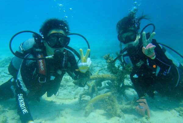 【体験ダイビング・1日】見どころ満載！石垣島の海でダイビングデビュー！ 写真4