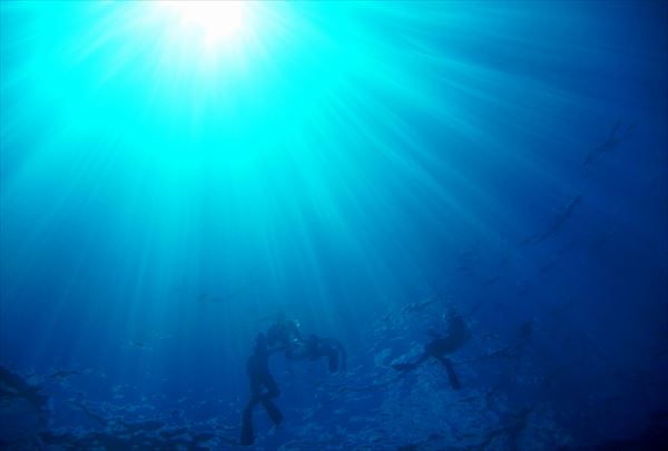 【体験ダイビング・1日】見どころ満載！石垣島の海でダイビングデビュー！ 写真7