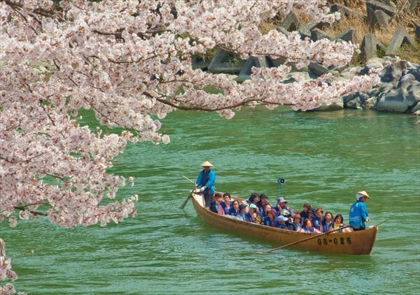【天竜舟下り】鵞流峡を熟練の船頭がご案内！スリルとロマンの舟旅へ 写真4