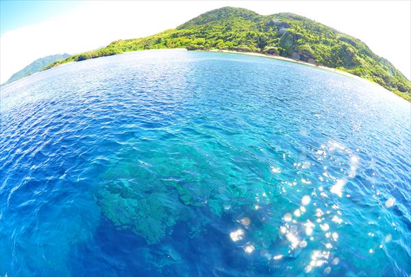 【石垣島・シュノーケリング】マンタに会えるかも！？キラキラの海へGO！ 写真6