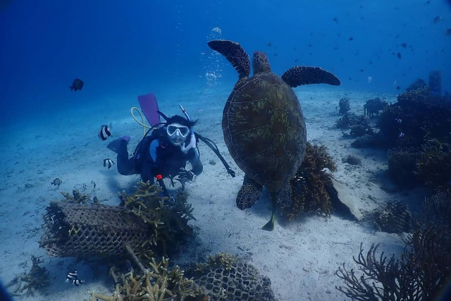 【半日・青の洞窟】お得な体験ダイビング2本セット！沖縄の海を満喫！ 写真5