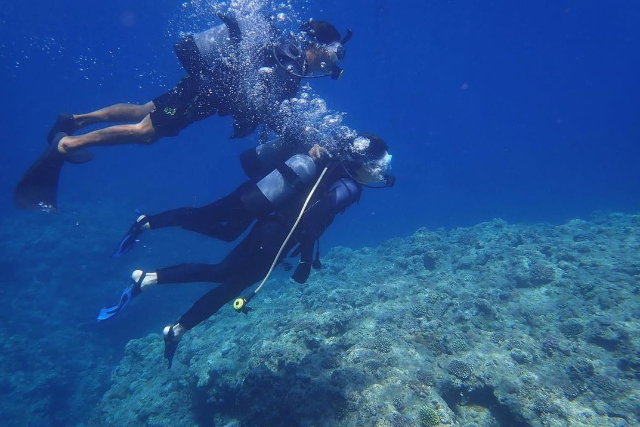 【半日・青の洞窟】お得な体験ダイビング2本セット！沖縄の海を満喫！ 写真6