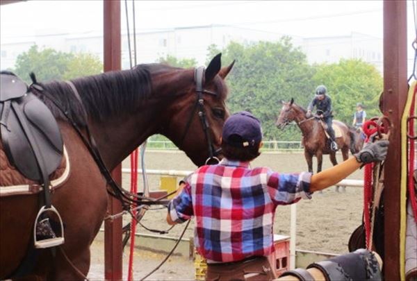 【体験4回騎乗・レッスン付き】座間で乗馬を始めよう！初めての方大歓迎！ 写真4