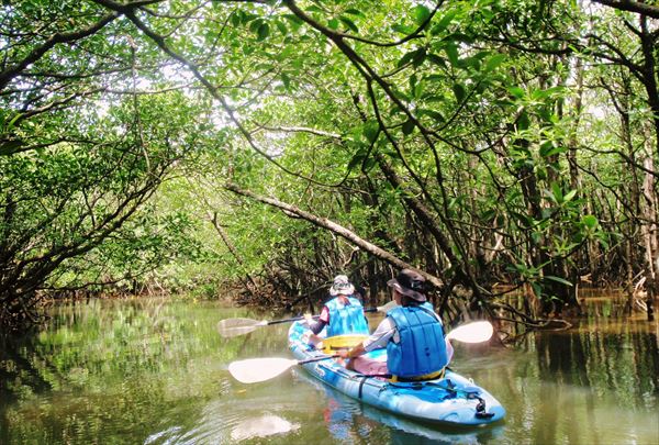 【石垣島・カヌー・マングローブ＆サンゴ礁】川と海で遊ぶよくばりプラン！ 写真3
