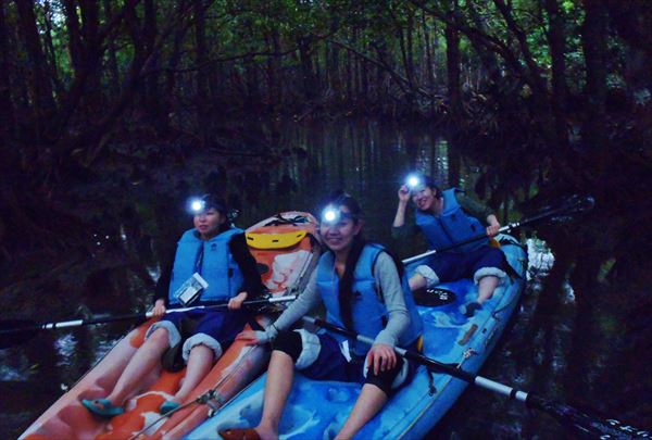 【石垣島・サンセット＆ナイトカヌー】夕日を眺め、星空と夜光虫の輝きにうっとり！ 写真6