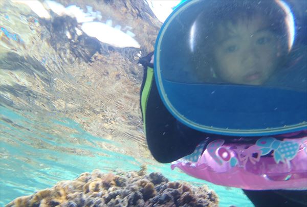 【石垣島・シュノーケリング】浅瀬だから安心して遊べます！サンゴ＆おさかなプラン 写真3