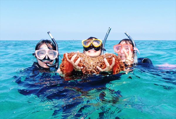 【石垣島・シュノーケリング】浅瀬だから安心して遊べます！サンゴ＆おさかなプラン 写真4