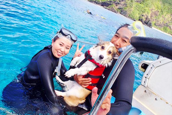ケラマの海をウミガメと泳ごう！2つのポイントを巡るシュノーケリング 写真6