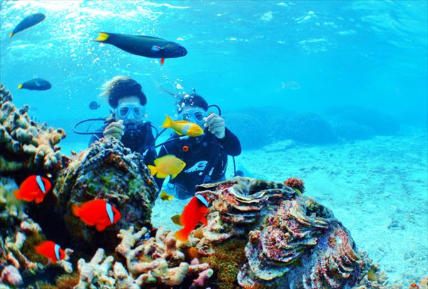 【ダイビング&マリンスポーツ2種】青の洞窟も海遊びも！よくばり満喫プラン 写真3