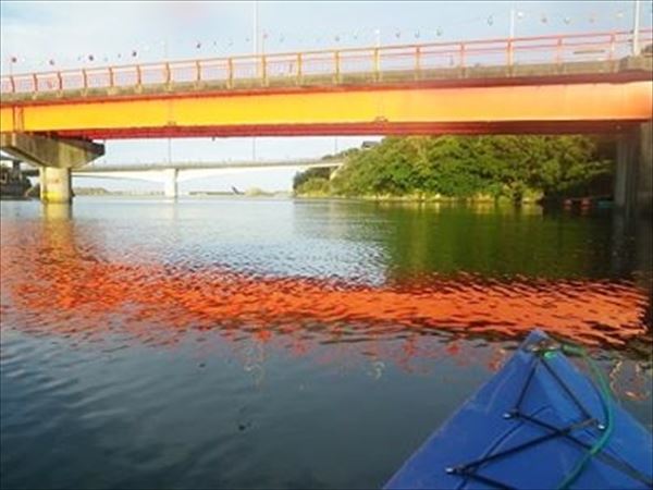 【鹿児島・屋久島・リバーカヤック】初心者OK！圧巻の自然をリバーカヤックで渡ろう（半日コース） 写真7