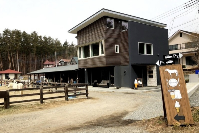 【八ヶ岳・乗馬体験・引き馬】馬に乗って森林散歩！引き馬でお手軽に、最高の思い出づくりを 写真4