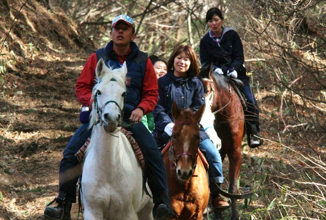 【八ヶ岳・乗馬体験】大感激の60分！人懐っこい馬たちと森林トレッキング 写真6