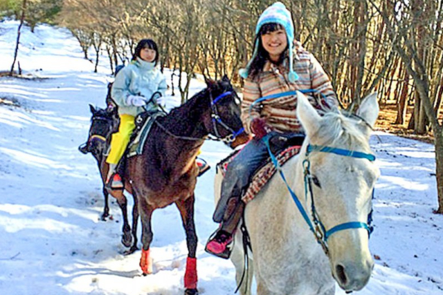 【八ヶ岳・乗馬体験】大感激の60分！人懐っこい馬たちと森林トレッキング 写真8