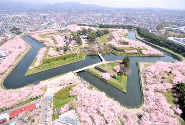 【2時間・函館】激動の時代に想いを馳せて。特別史跡・五稜郭歴史ガイド 写真4