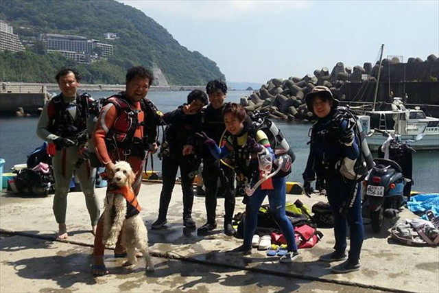 【茨城・体験ダイビング】5つ星の安心感！伊豆の海で感動の海中散歩を楽しもう 写真6