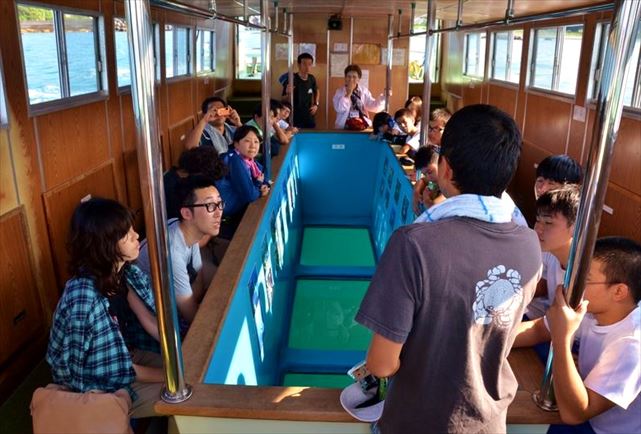 【高知・グラスボート】海中世界を気軽に遊覧！竜串の海の珊瑚礁を見てみよう 写真4