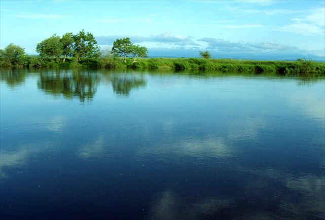 【北海道・釧路川・カヌー】川の流れに身を任せて、穏やかな時間を満喫。釧路川カヌープラン 写真4