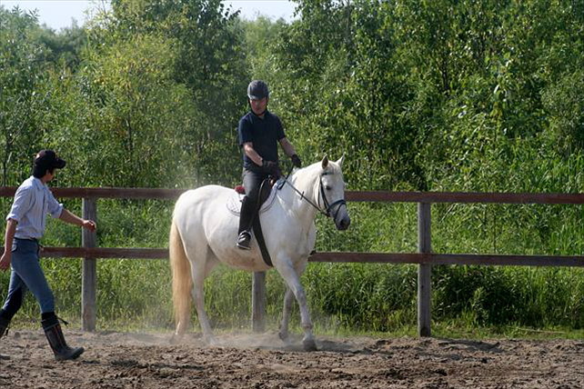 【北海道・南幌ライディングパーク・引綱乗馬5分】馬の背の高さに驚き！ 初めての引綱乗馬 写真4