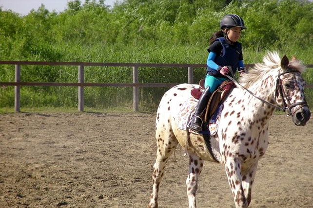 【北海道・南幌ライディングパーク・乗馬体験30分】初めての乗馬で駈けてみよう！ 写真5