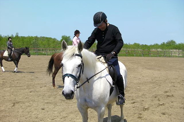 【北海道・南幌ライディングパーク・乗馬体験30分】初めての乗馬で駈けてみよう！ 写真6