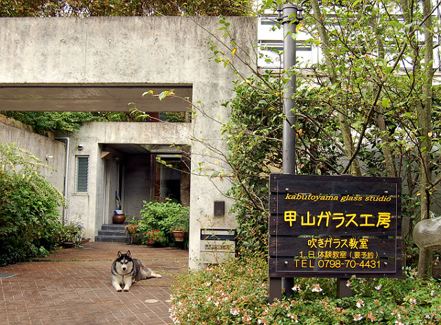 【期間限定ポイント10%還元！兵庫県西宮市・吹きガラス】自分だけのグラスに仕上げよう！吹きガラス体験・1個制作コース 写真8
