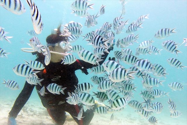 【沖縄・体験ダイビング】ボートで移動もらくらく！青の洞窟で最高の体験ダイビング 写真6