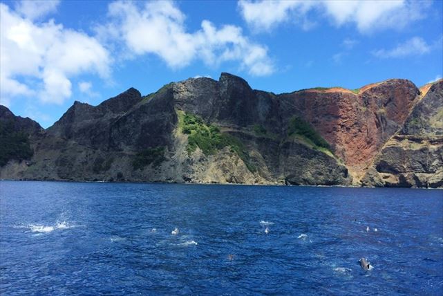 【小笠原・半日・シーカヤック】神の庭と呼ばれる海を冒険！半日シーカヤックプラン 写真7