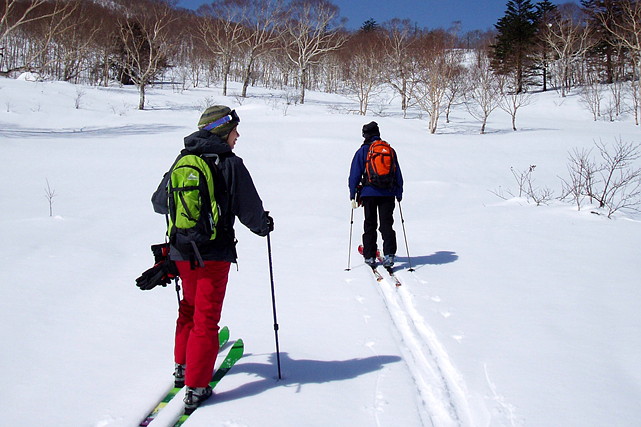【新潟県妙高市・テレマークスキー】初心者歓迎！テレマークスキーで未踏の新雪を滑る1日プラン 写真4