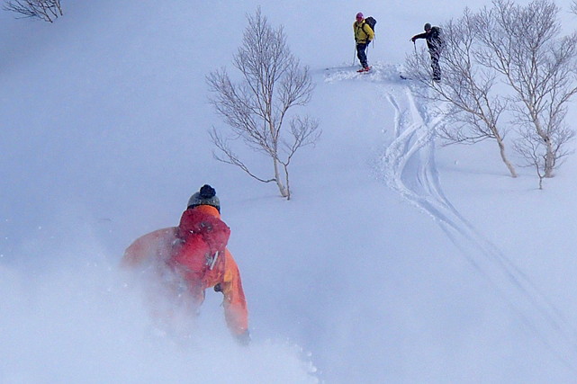 【新潟県妙高市・テレマークスキー】初心者歓迎！テレマークスキーで未踏の新雪を滑る1日プラン 写真3