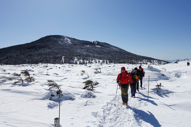 【八ヶ岳・スノートレッキング】ガイド同行で安心！八ヶ岳で雪山トレッキングデビュー 写真4