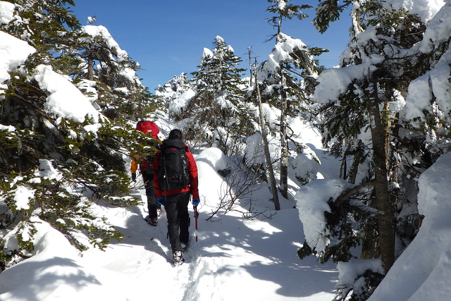【八ヶ岳・スノートレッキング】ガイド同行で安心！八ヶ岳で雪山トレッキングデビュー 写真6