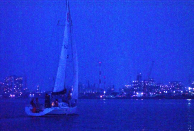 【広島・1日・ヨットクルージング】太平洋一周を果たしたヨットと自由に過ごす、瀬戸内海の一日セイリング 写真4