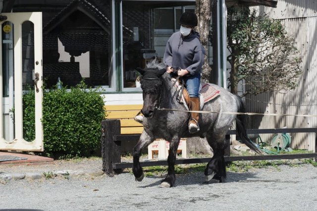 【期間限定ポイント10%還元！北九州・乗馬体験45分】小学生から参加OK！初めての乗馬体験 写真8