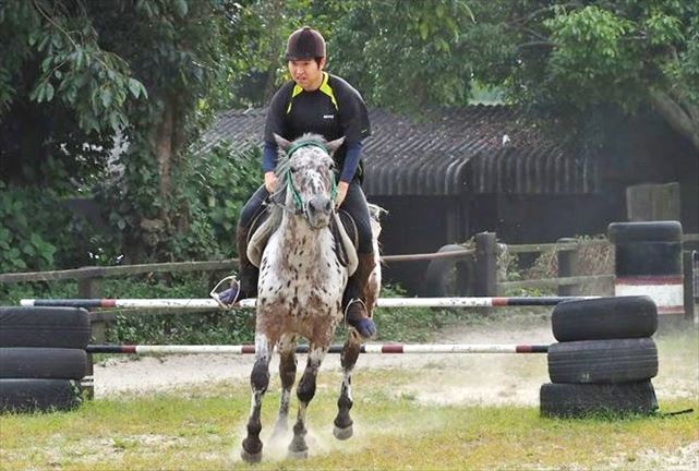 【期間限定ポイント10%還元！北九州・乗馬体験45分】小学生から参加OK！初めての乗馬体験 写真7