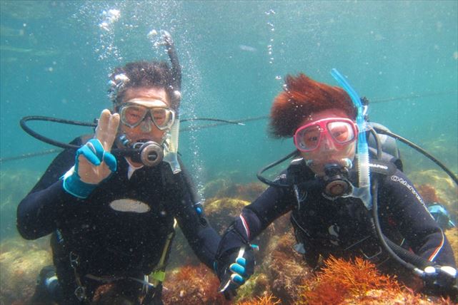 【静岡・富戸・体験ダイビング】東伊豆の美しい海に潜ろう！体験ダイビングプラン 写真7