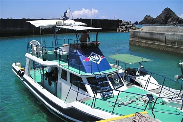 【奄美大島・体験ダイビング】南国のお魚やカメたちに会える！？ボートからスキューバダイビング体験 写真2