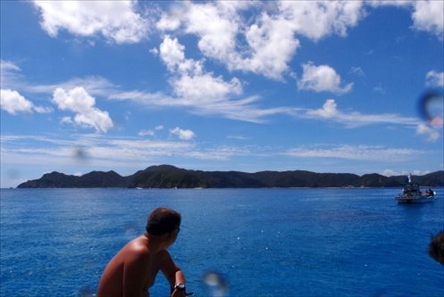 【奄美大島・体験ダイビング】南国のお魚やカメたちに会える！？ボートからスキューバダイビング体験 写真4