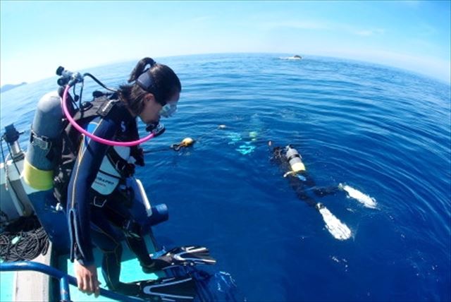【奄美大島・体験ダイビング】南国のお魚やカメたちに会える！？ボートからスキューバダイビング体験 写真3