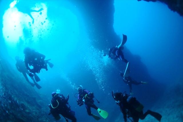 【奄美大島・体験ダイビング】南国のお魚やカメたちに会える！？ボートからスキューバダイビング体験 写真6