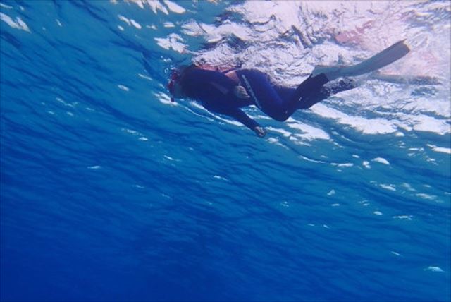 【奄美大島・体験ダイビング】カメと会える！？ビーチからスキューバダイビング体験 写真7