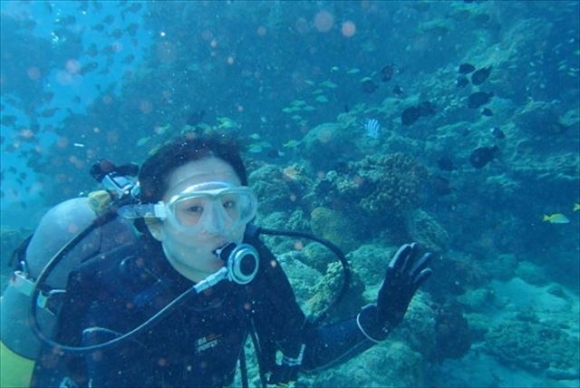 【奄美大島・体験ダイビング】カメと会える！？ビーチからスキューバダイビング体験 写真5