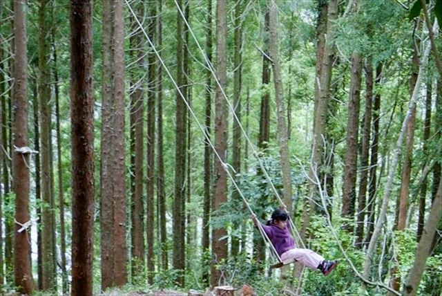 【千葉県長生郡・木登り】大人も童心に返る面白さ！ツリークライミングで自然と一体になろう 写真7
