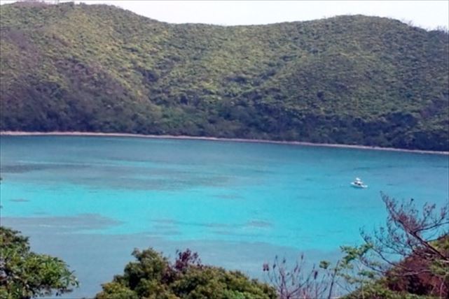 【奄美・体験ダイビング】シュノーケルも楽しめる！大島海峡を楽しもう！（半日） 写真6
