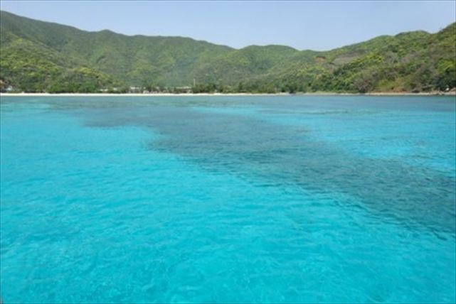 【奄美・体験ダイビング】シュノーケルも楽しめる！大島海峡を楽しもう！（半日） 写真4