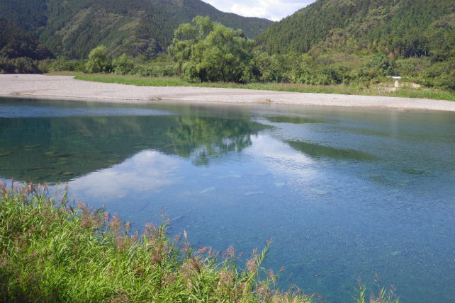 【徳島・カヌー】澄んだ川に漕ぎ出そう！自然と一体になれるカヌー体験 写真2