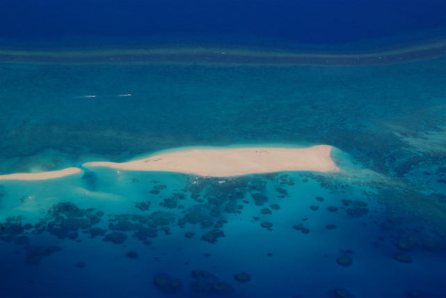 【久米島・体験ダイビング】安心安全の体験ダイビング。久米島の海は、まるで竜宮城！ 写真3